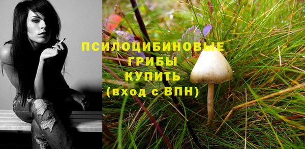хмурый Алзамай