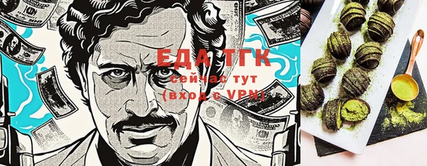 хмурый Алзамай
