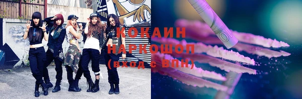 хмурый Алзамай