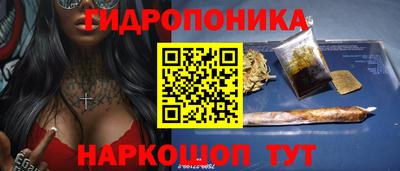 стафф Новозыбков