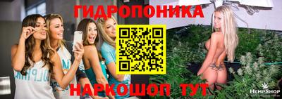 2c-b Новодвинск