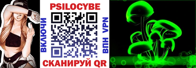 Галлюциногенные грибы Psilocybine cubensis  Томск 