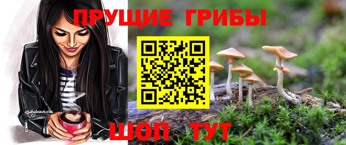 Томск  Галлюциногенные грибы Magic Shrooms  Вход с VPN 